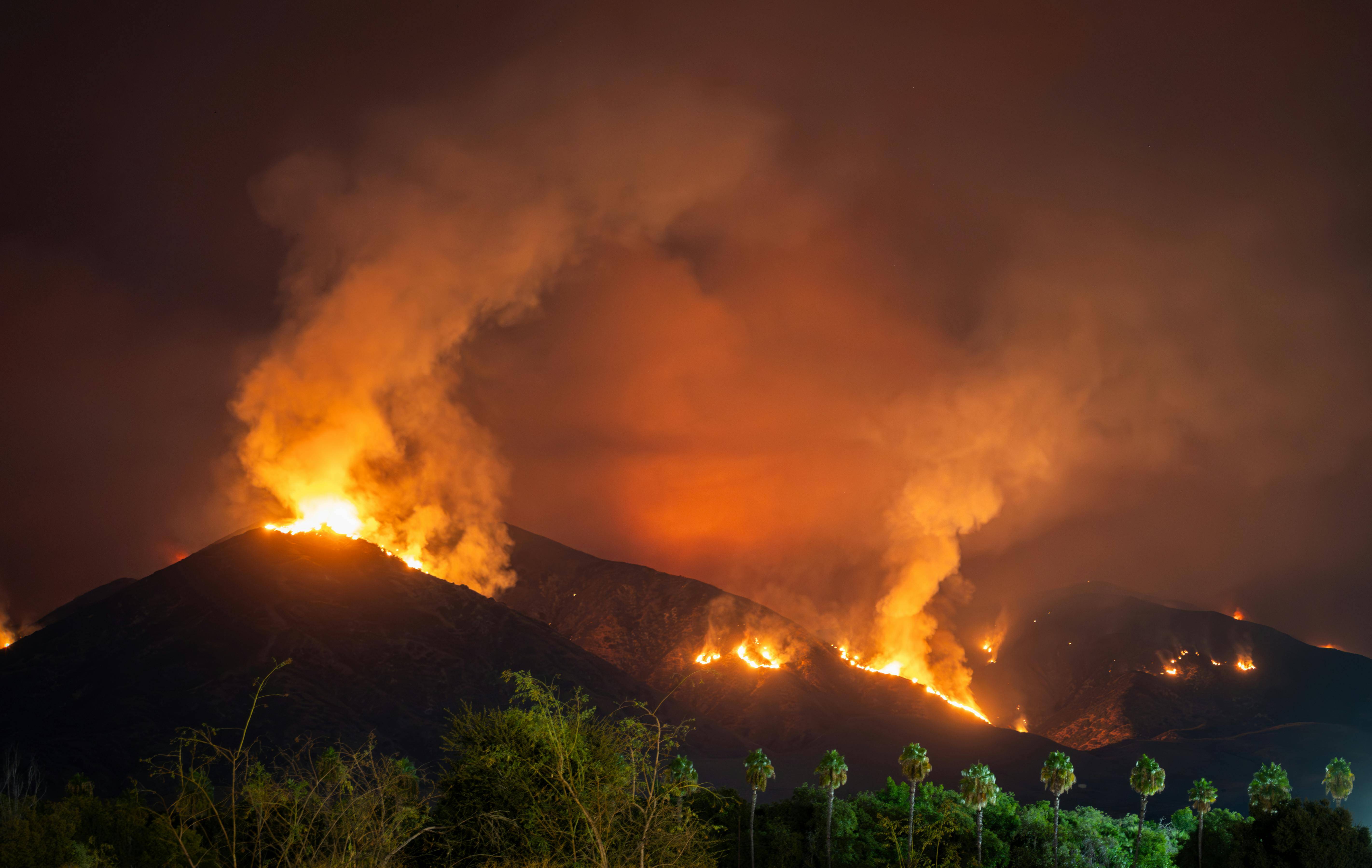 The Critical Importance of Business Sustainability Efforts: Lessons from Global Warming and Wildfires