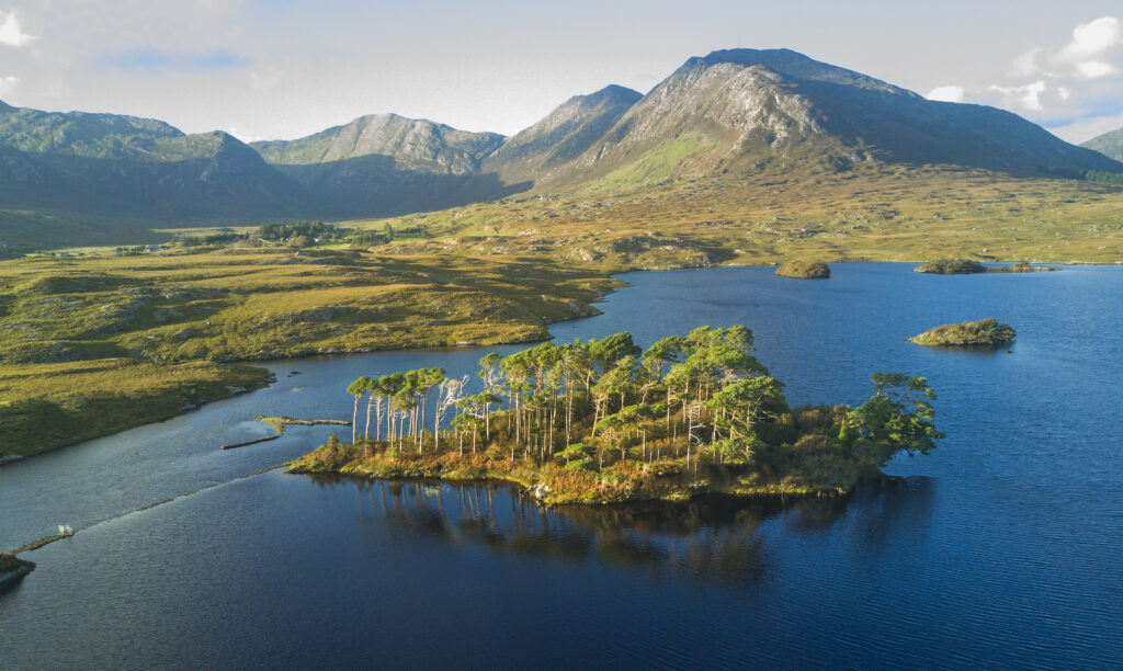 World Environment Day - Ireland